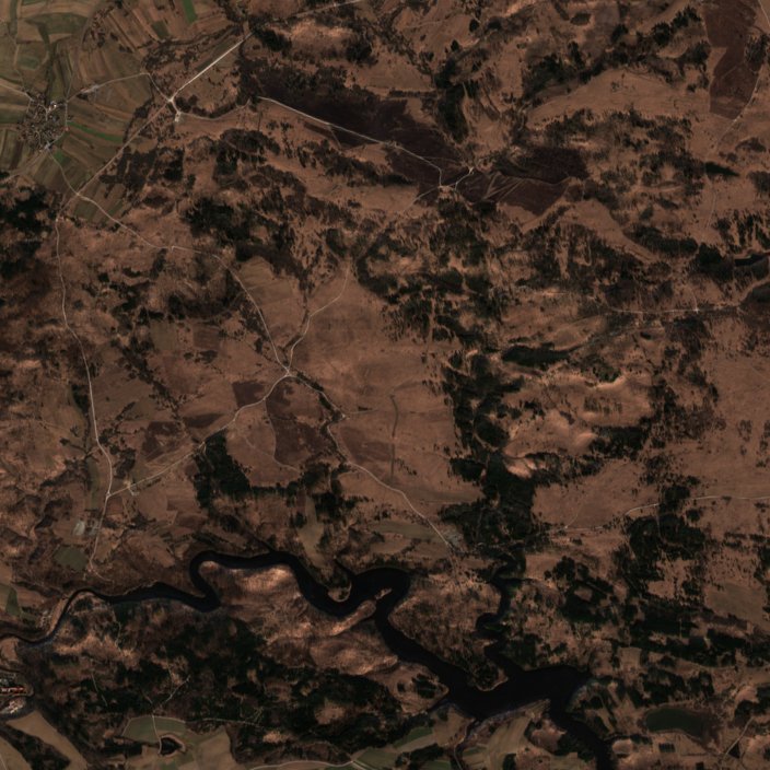 The area before the fire, March 1, 2022
